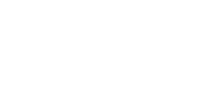 LG Chem